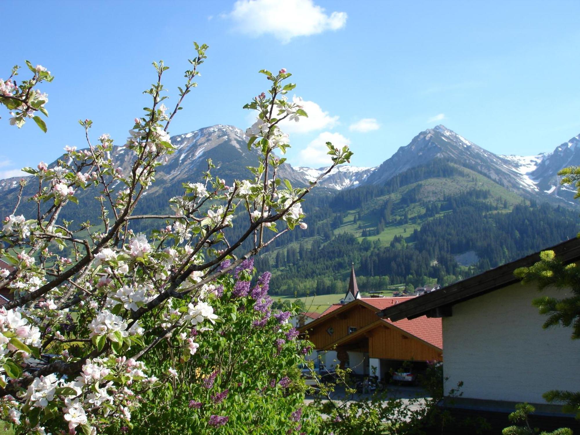 Auf Der Sonnenseite Schattwald