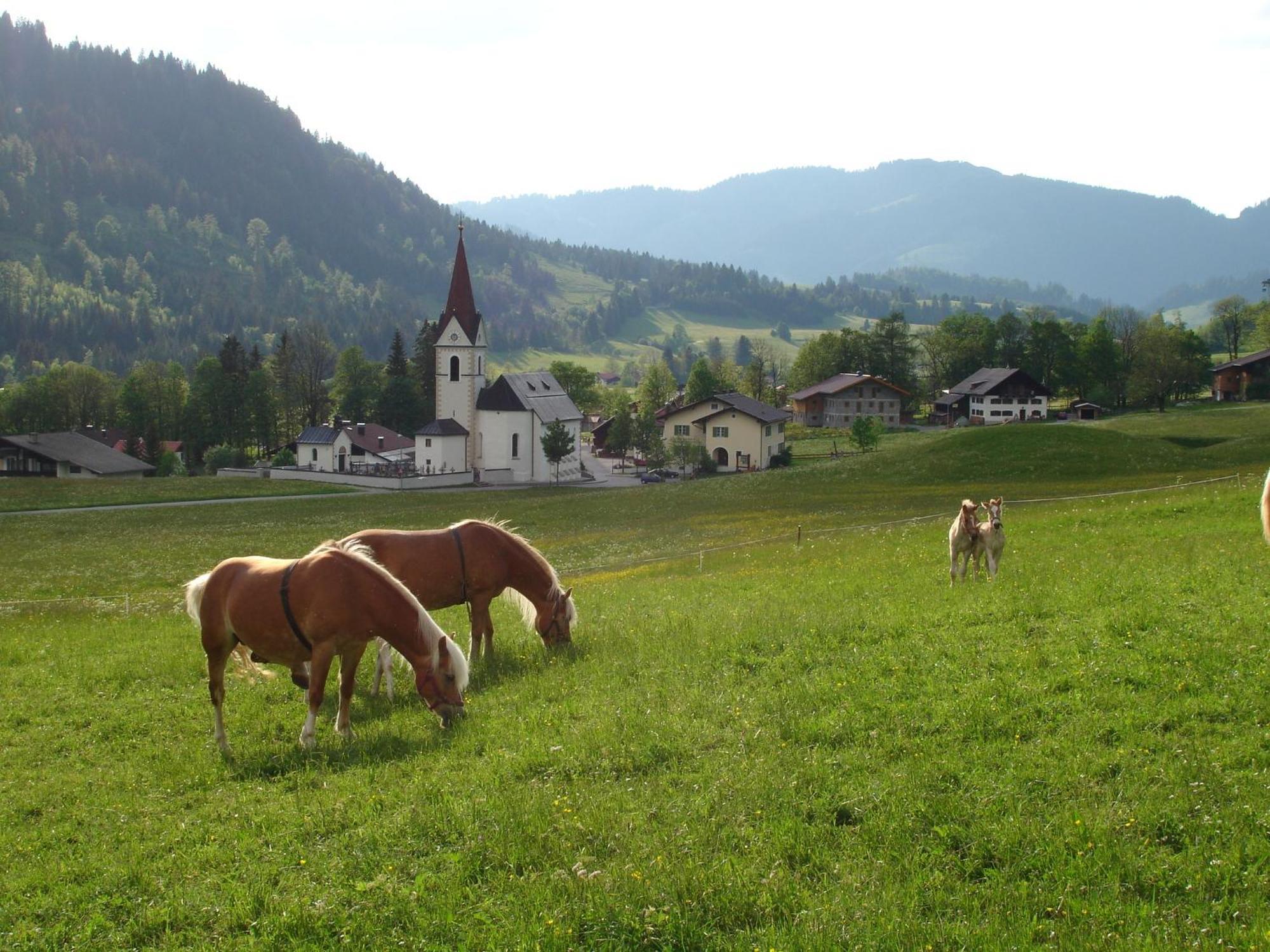 Apartmán Auf Der Sonnenseite